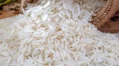 Rice